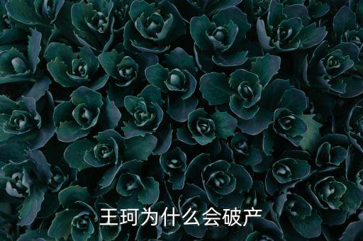 彭潮為什么破產,王珂為什么會破產