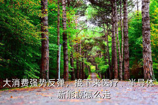 大消費(fèi)強(qiáng)勢反彈，接下來醫(yī)療、半導(dǎo)體、新能源怎么走