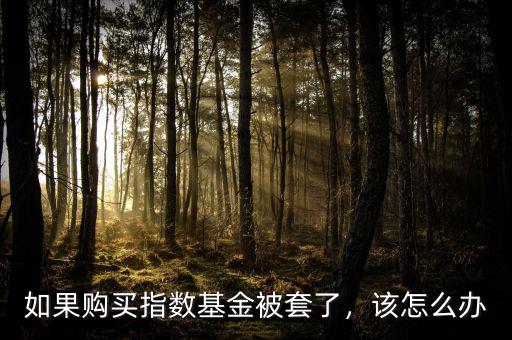 如果購(gòu)買指數(shù)基金被套了，該怎么辦