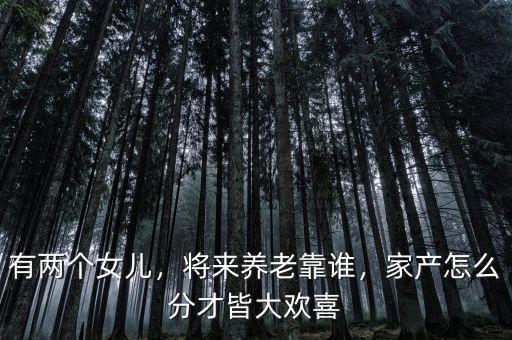 有兩個女兒，將來養(yǎng)老靠誰，家產(chǎn)怎么分才皆大歡喜