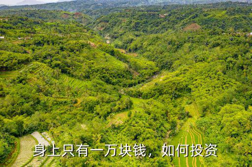 身上只有一萬(wàn)塊錢，如何投資