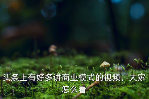 頭條上有好多講商業(yè)模式的視頻，大家怎么看