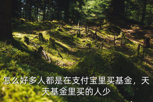 怎么好多人都是在支付寶里買基金，天天基金里買的人少