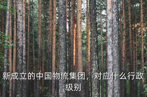 新成立的中國物流集團(tuán)，對(duì)應(yīng)什么行政級(jí)別