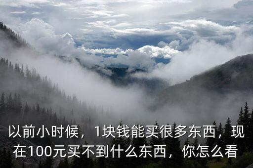 以前小時候，1塊錢能買很多東西，現(xiàn)在100元買不到什么東西，你怎么看