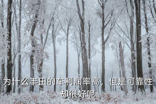 為什么豐田的車利潤率高，但是可靠性卻很好呢