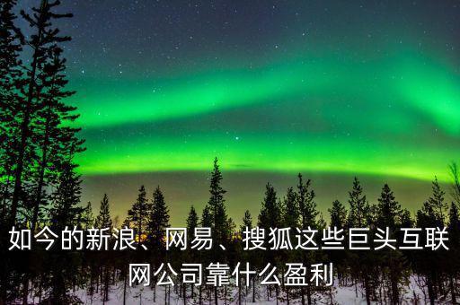 如今的新浪、網(wǎng)易、搜狐這些巨頭互聯(lián)網(wǎng)公司靠什么盈利
