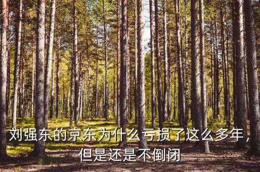 劉強(qiáng)東的京東為什么虧損了這么多年，但是還是不倒閉