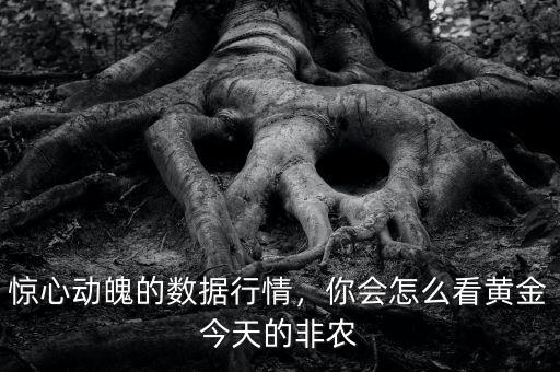 驚心動魄的數(shù)據(jù)行情，你會怎么看黃金今天的非農(nóng)