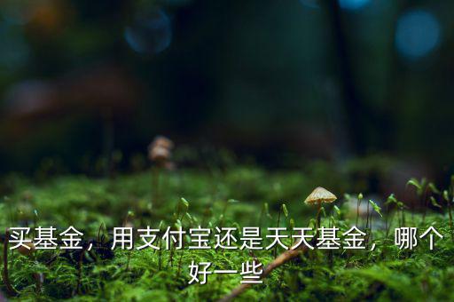 買(mǎi)基金，用支付寶還是天天基金，哪個(gè)好一些