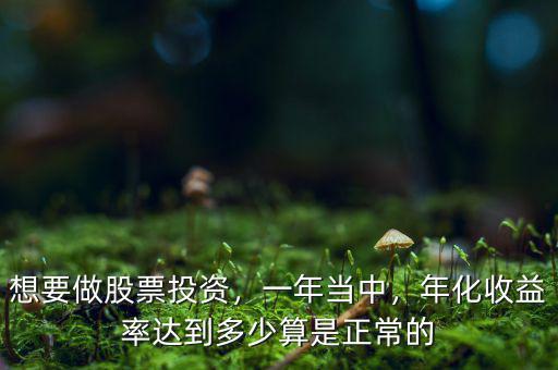 想要做股票投資，一年當(dāng)中，年化收益率達(dá)到多少算是正常的