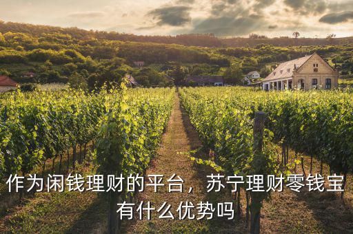 作為閑錢理財?shù)钠脚_，蘇寧理財零錢寶有什么優(yōu)勢嗎