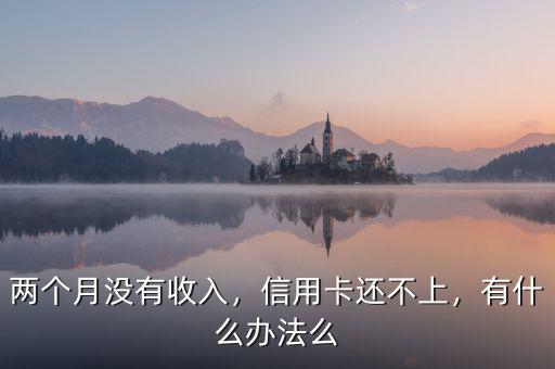兩個(gè)月沒(méi)有收入，信用卡還不上，有什么辦法么