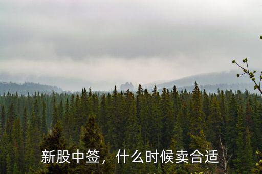 新股中簽，什么時(shí)候賣合適