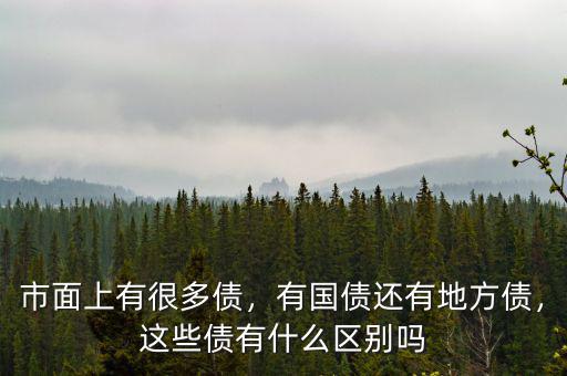 市面上有很多債，有國債還有地方債，這些債有什么區(qū)別嗎
