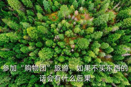參加“購物團”旅游，如果不買東西的話會有什么后果