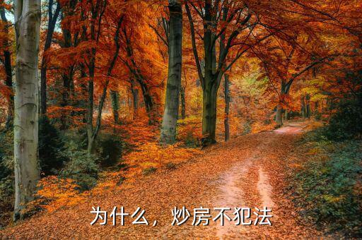 為什么，炒房不犯法