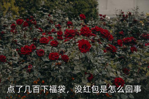點(diǎn)了幾百下福袋，沒(méi)紅包是怎么回事