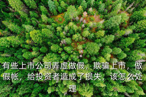 有些上市公司弄虛做假，欺騙上市，做假帳，給投資者造成了損失，該怎么處理