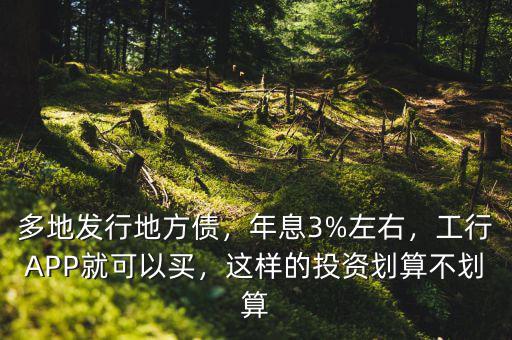 多地發(fā)行地方債，年息3%左右，工行APP就可以買，這樣的投資劃算不劃算