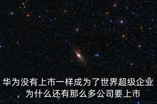 華為沒(méi)有上市一樣成為了世界超級(jí)企業(yè)，為什么還有那么多公司要上市
