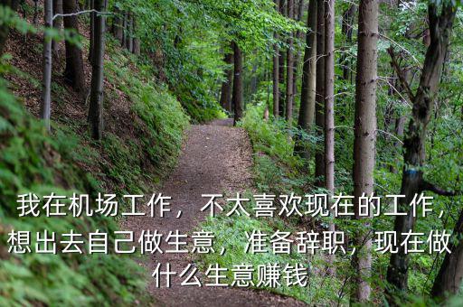 我在機(jī)場工作，不太喜歡現(xiàn)在的工作，想出去自己做生意，準(zhǔn)備辭職，現(xiàn)在做什么生意賺錢