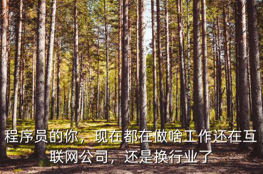 程序員的你，現(xiàn)在都在做啥工作還在互聯(lián)網(wǎng)公司，還是換行業(yè)了