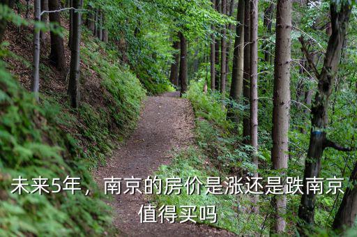 未來5年，南京的房?jī)r(jià)是漲還是跌南京值得買嗎