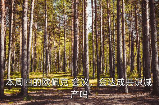 G20會議達成什么共識,會達成共識減產(chǎn)嗎