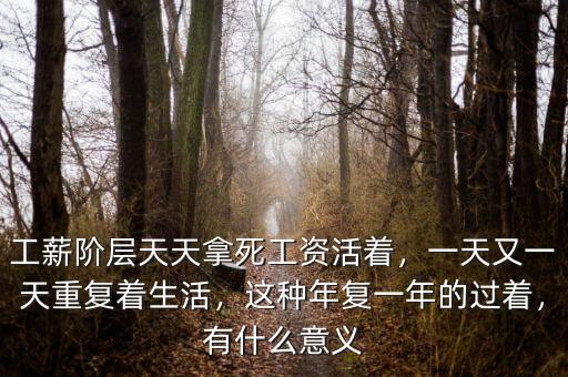 工薪階層天天拿死工資活著，一天又一天重復(fù)著生活，這種年復(fù)一年的過著，有什么意義