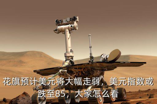 花旗預計美元將大幅走弱，美元指數(shù)或跌至85，大家怎么看