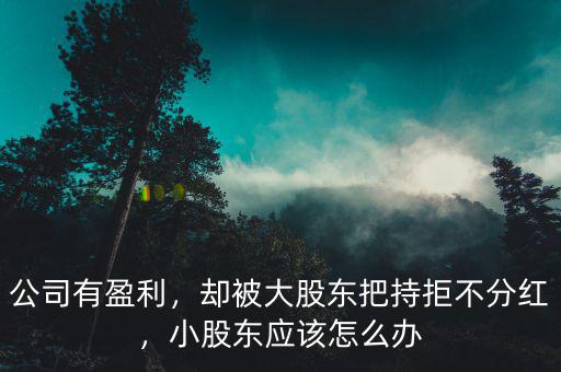 公司有盈利，卻被大股東把持拒不分紅，小股東應(yīng)該怎么辦