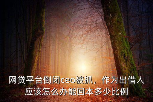 網(wǎng)貸平臺倒閉ceo被抓，作為出借人應(yīng)該怎么辦能回本多少比例