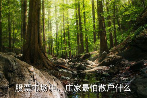 股票市場中，莊家最怕散戶什么