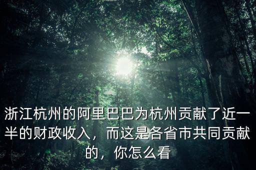 浙江杭州的阿里巴巴為杭州貢獻(xiàn)了近一半的財政收入，而這是各省市共同貢獻(xiàn)的，你怎么看