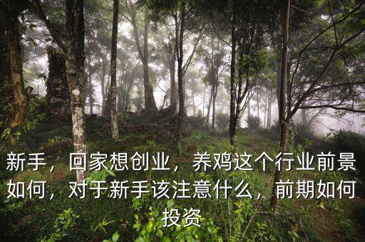 新手，回家想創(chuàng)業(yè)，養(yǎng)雞這個(gè)行業(yè)前景如何，對于新手該注意什么，前期如何投資