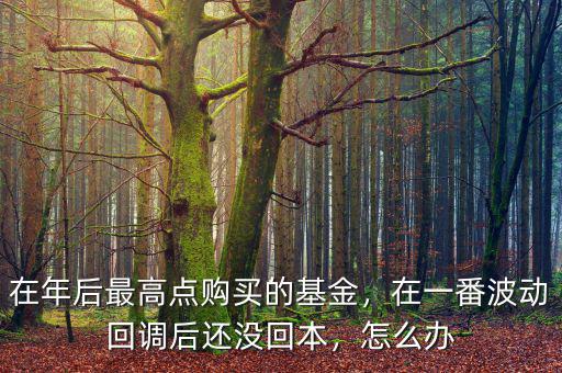在年后最高點(diǎn)購(gòu)買的基金，在一番波動(dòng)回調(diào)后還沒(méi)回本，怎么辦