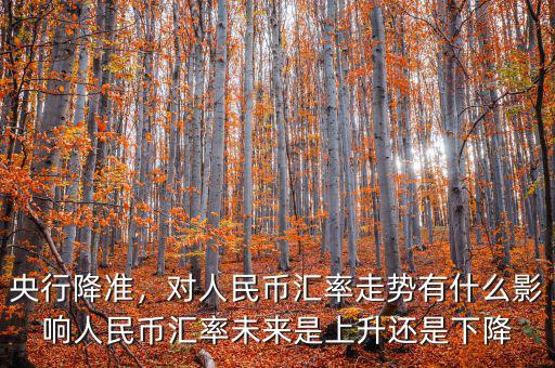央行降準，對人民幣匯率走勢有什么影響人民幣匯率未來是上升還是下降
