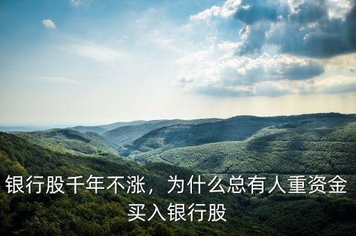 銀行股千年不漲，為什么總有人重資金買入銀行股
