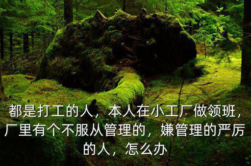 都是打工的人，本人在小工廠做領(lǐng)班，廠里有個不服從管理的，嫌管理的嚴(yán)厲的人，怎么辦