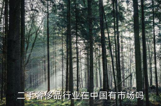 奢侈品公司為什么看重中國(guó)市場(chǎng),為什么更看重網(wǎng)上銷(xiāo)售