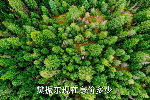 紀學鋒身價多少,陳夢現(xiàn)在身價多少