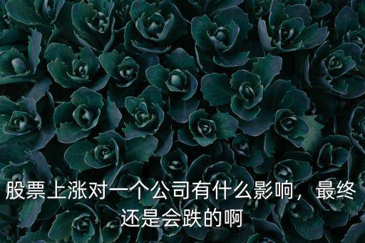 股票上漲對一個公司有什么影響，最終還是會跌的啊