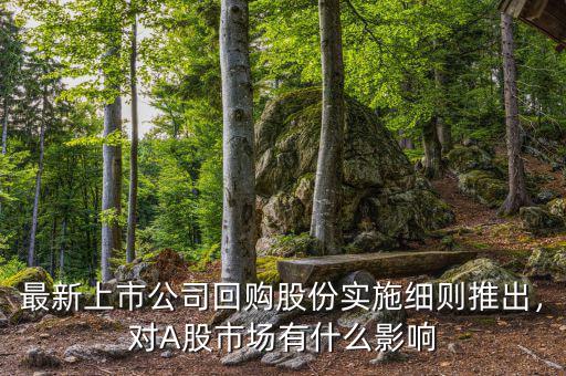 最新上市公司回購股份實施細則推出，對A股市場有什么影響
