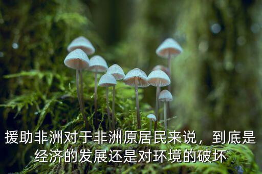 援助非洲對(duì)于非洲原居民來(lái)說(shuō)，到底是經(jīng)濟(jì)的發(fā)展還是對(duì)環(huán)境的破壞