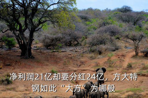 凈利潤21億卻要分紅24億，方大特鋼如此“大方”為哪般