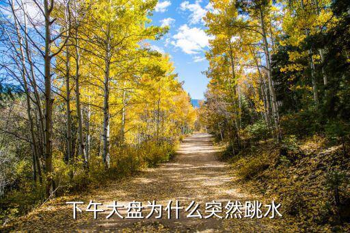 下午大盤(pán)為什么突然跳水