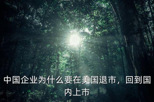 中國企業(yè)為什么要在美國退市，回到國內上市