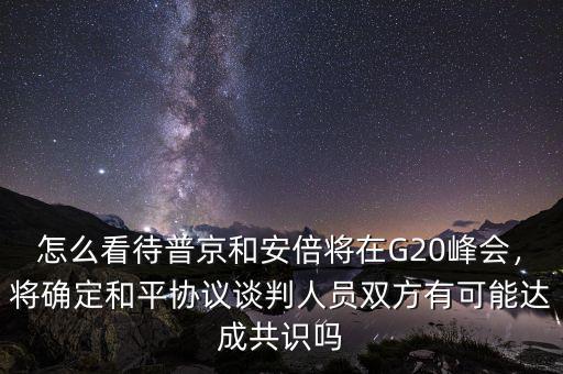 怎么看待普京和安倍將在G20峰會(huì)，將確定和平協(xié)議談判人員雙方有可能達(dá)成共識(shí)嗎