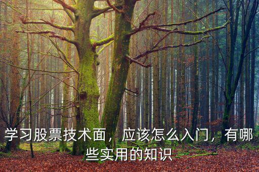 學(xué)習(xí)股票技術(shù)面，應(yīng)該怎么入門，有哪些實(shí)用的知識